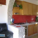 Rent 6 bedroom apartment of 150 m² in Trani