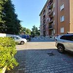 Rent 2 bedroom apartment of 65 m² in Monza