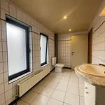 Rent 1 bedroom apartment in Kruibeke