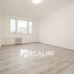 Pronájem bytu 2+1 54m²