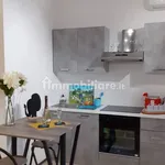 Rent 1 bedroom apartment of 40 m² in Turin