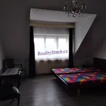 Rent 1 bedroom apartment of 40 m² in Praha