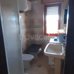 Rent 3 bedroom apartment of 100 m² in Falconara Albanese