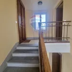 Rent 3 bedroom apartment of 50 m² in Biella