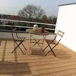 Rent 1 bedroom apartment in Dilbeek