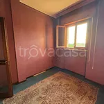 Rent 3 bedroom apartment of 102 m² in Terni