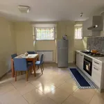 Rent 3 bedroom apartment of 60 m² in Roma