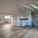 Appartement de 20 m² avec 1 chambre(s) en location à Lille