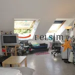 Rent 1 bedroom apartment of 19 m² in Metz