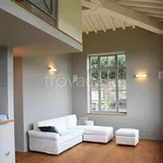 Rent 2 bedroom apartment of 110 m² in Firenze