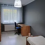 Rent 2 bedroom apartment of 45 m² in Toruń