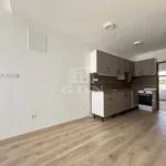 Rent 1 bedroom apartment of 43 m² in Székesfehérvár