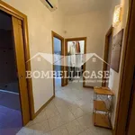 Rent 2 bedroom apartment of 74 m² in Milano