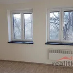 Rent 1 bedroom apartment of 29 m² in Brno