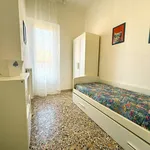 Rent 3 bedroom apartment of 60 m² in Pisa