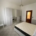 Rent 3 bedroom apartment of 80 m² in Torino