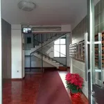 Rent 3 bedroom apartment of 98 m² in Palermo