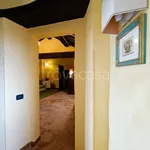 Rent 3 bedroom apartment of 81 m² in Perugia