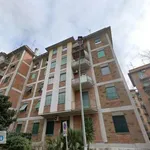 Rent 3 bedroom apartment of 75 m² in Rome