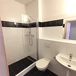 Rent 1 bedroom apartment in Praha 5