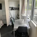 Rent 1 bedroom apartment in Auckland