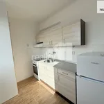 Rent 1 bedroom apartment in Praha 4