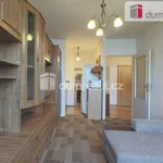 Rent 2 bedroom apartment of 39 m² in Mělník