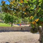 Wunderschönes neues Landhaus in einem sehr ruhigen Finca-Hotel mit Pool und Garten