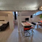 Rent 1 bedroom apartment of 25 m² in Grenoble