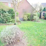 Rent 4 bedroom house in East Of England