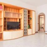 Rent 1 bedroom apartment of 80 m² in milan