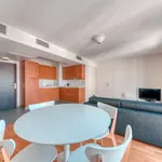 Rent 1 bedroom apartment of 40 m² in Lyon