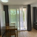 Rent 2 bedroom apartment of 51 m² in München