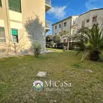 Rent 3 bedroom apartment of 45 m² in Pisa