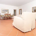 Rent 4 bedroom apartment of 119 m² in Pistoia