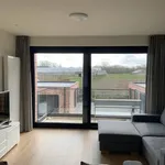 Rent 2 bedroom apartment in Wieze