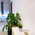 Alquilar 4 dormitorio apartamento en Valencia