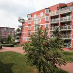 Pronajměte si 1 ložnic/e byt o rozloze 44 m² v Prague