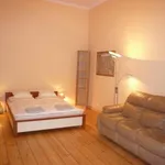 Rent 1 bedroom apartment of 40 m² in Krakow