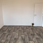 Rent 1 bedroom apartment of 35 m² in Ostrava