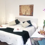 Rent 3 bedroom apartment of 120 m² in florence