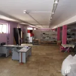 Rent 3 bedroom apartment of 500 m² in Frosinone