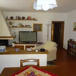 Rent 1 bedroom apartment of 65 m² in Arezzo