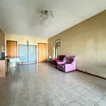 Rent 3 bedroom apartment of 110 m² in Roma