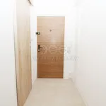 Rent 1 bedroom apartment of 38 m² in Nový Bor