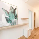 Rent 4 bedroom apartment in Berlin