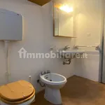 Rent 3 bedroom apartment of 80 m² in Turin