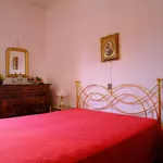 Rent 1 bedroom apartment in Rome