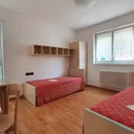 Rent 3 bedroom apartment of 60 m² in Trento