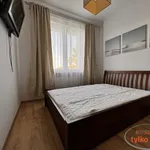 Rent 2 bedroom apartment of 40 m² in Poznań